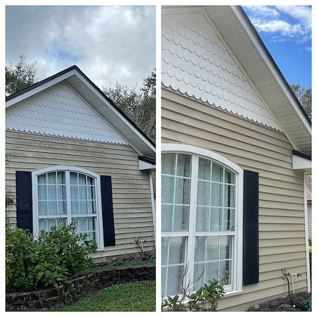 Florida house washing guide low pressure soft washing humid mold mildew