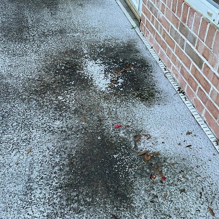 Why st augustine and jacksonville driveways turn black 3 common causes and professional cleaning solutions